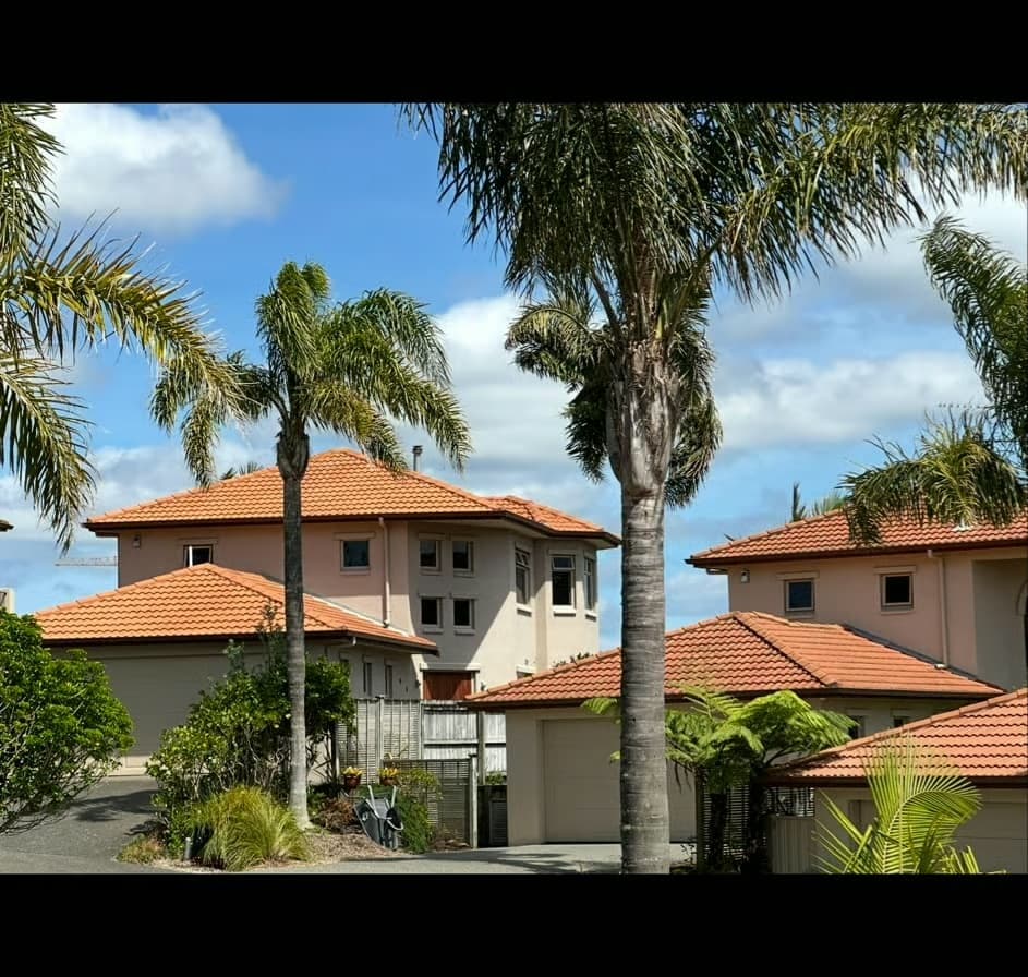 Auckland neighborhood where Crown Property Wash provides services